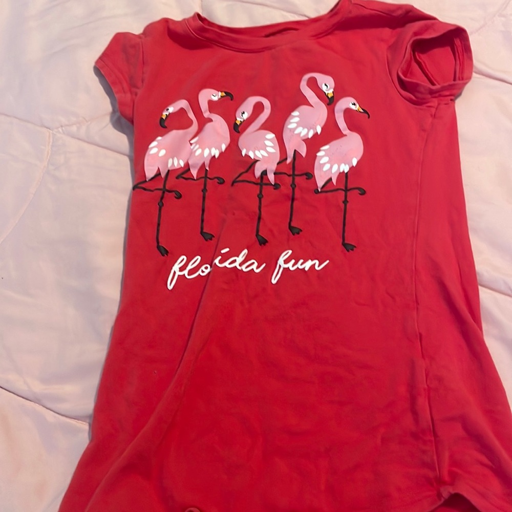 The flamingo shirt that has Florida Sun on it.